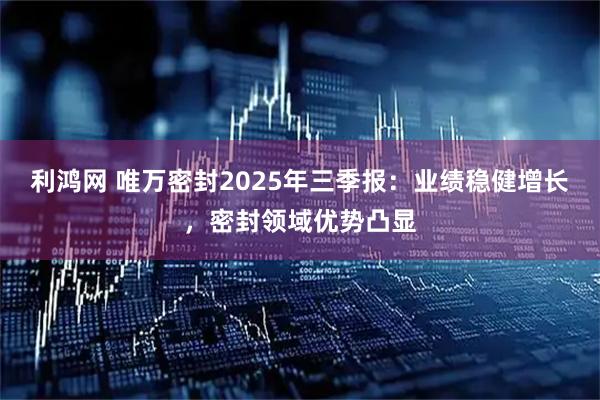 利鸿网 唯万密封2025年三季报：业绩稳健增长，密封领域优势凸显