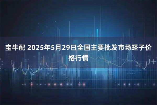宝牛配 2025年5月29日全国主要批发市场蛏子价格行情